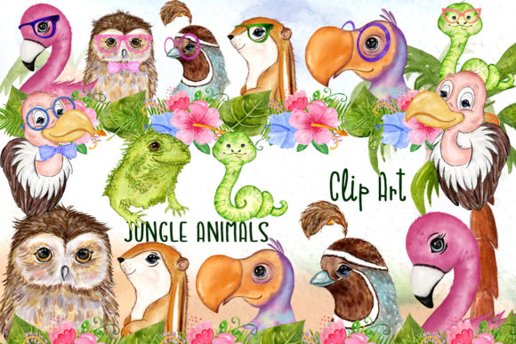 Download Tropical Birds Cute Safari Animals - Safari animal Collection