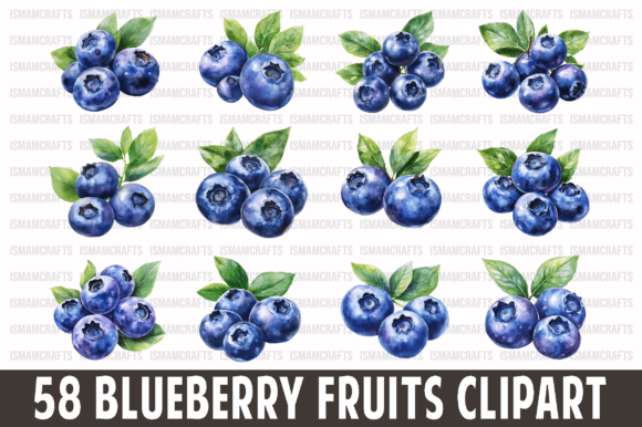 Download Blueberry Fruits Clipart Bundle PNG - Premium Resources