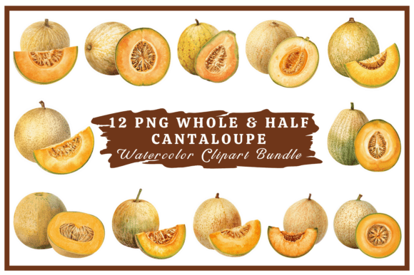 Download Cantaloupe Watercolor Clipart Bundle #27 - Premium Resources